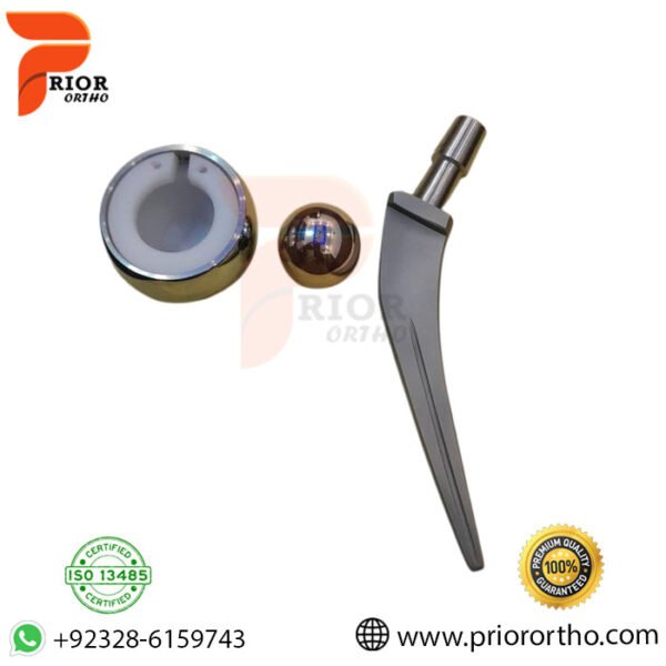 Bipolar Hip Prosthesis