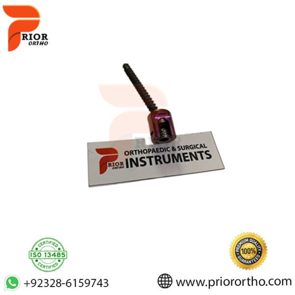 Pedicle Screw 6.0mm