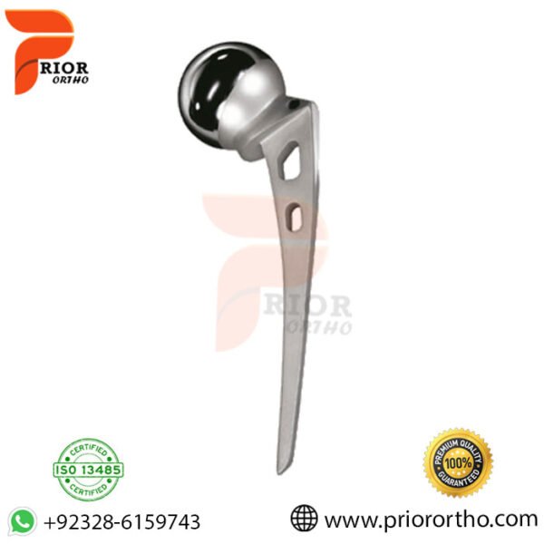 Austin Moor Hip Prosthesis